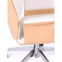 Bureaustoel Executive - Bureaustoelen - Mobelarium