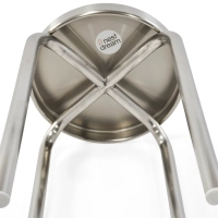 Delaware 45 cm Stainless Steel Low Stool | Modern Designer Stool