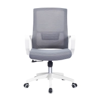Sedia da Ufficio Mesh Ergo Lowback in Fibra di Rete