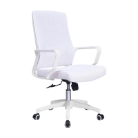 Mesh Ergo Lowback kontorsstol i Fiber Mesh