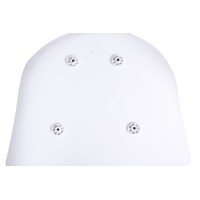 Daxer Nordic Chair in Beech Wood with Nordic style